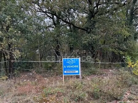 terrain 16 353 m² saint pantaly d excideuil