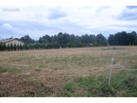 terrain constructible