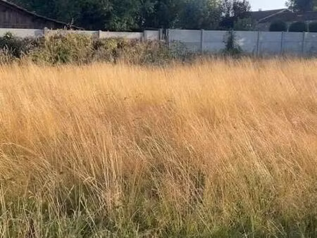 terrain 1 100 m² saint maixant