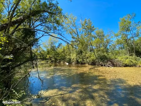parcelle de bois + étang