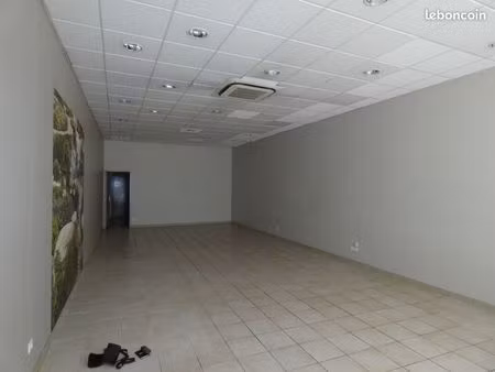 local proofessionnel