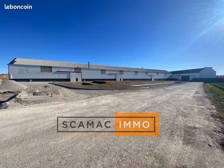 local d'activité 336 m²