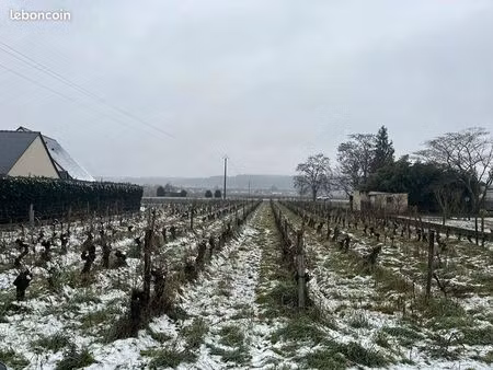 terrain 2282 m² bourgueil