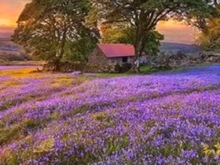 terrain 500 m² manthelan