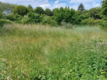 terrain constructible + hangar