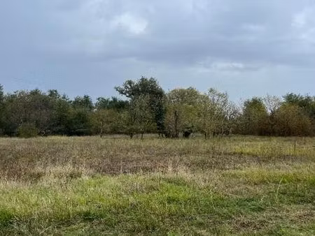 terrain 500 m² saint savin