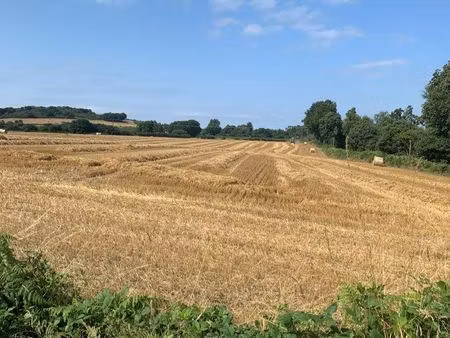 recherche terrre agricole