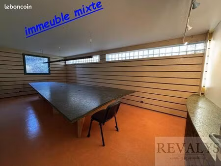 immeuble 242 m² plombieres les dijon