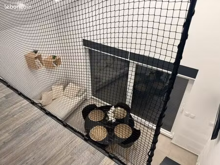 petite maison individuelle