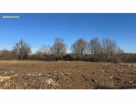 terrain 5 000 m² moirax