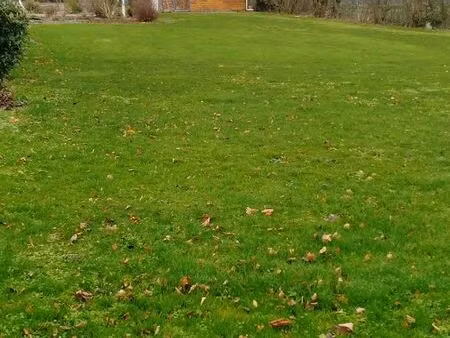 terrain constructible