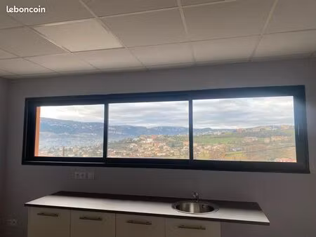 bureaux local professionnel