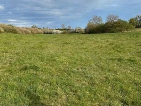 cherche terrain agricole