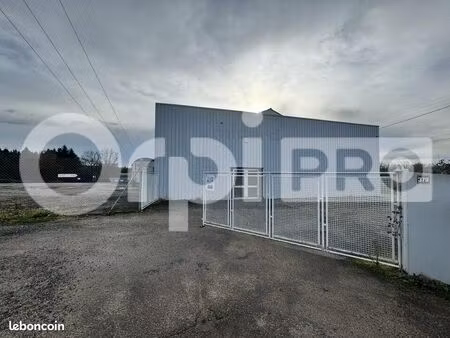 local commercial 542 m²