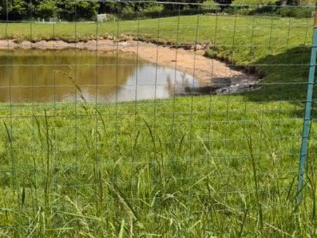 terrain avec petit etang