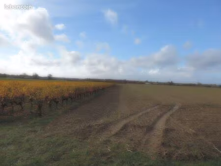 vend carré de vigne