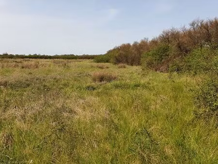 terrain agricole et/ou loisir