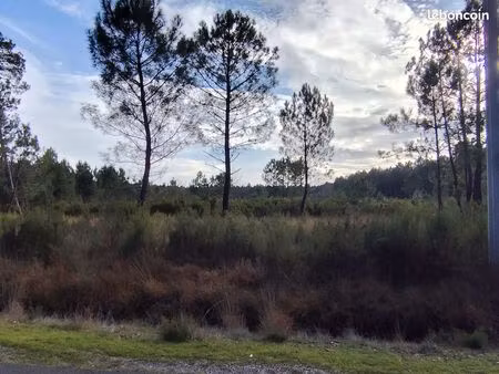 terrain non constructible