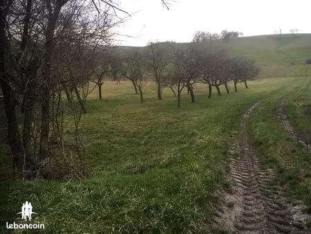 terrain 1 845 m² velving