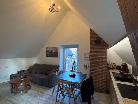 appartement avec jardin - chalonnes sur loire