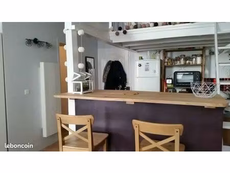 très bel appartement centre ville rive droite