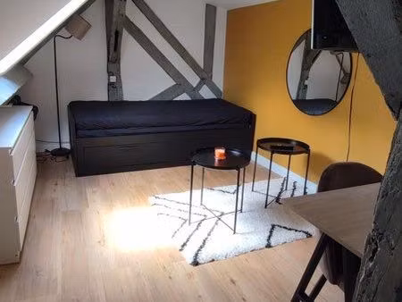 studio de charme-tours centre-quartier des halles