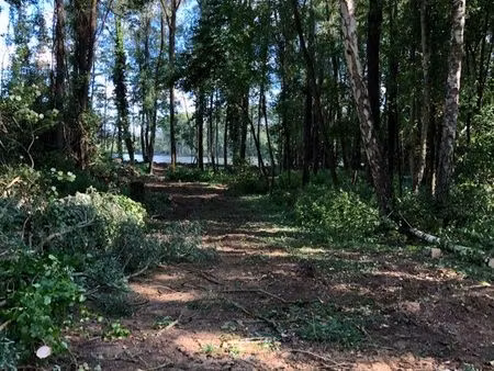 vend parcelle d’étang