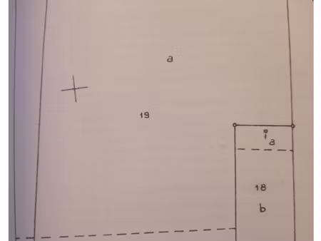 terrain en nature de taillis