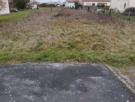 terrain constructible