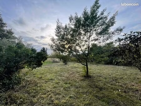 terrain viabilisé 1000 m² – roques la pointe