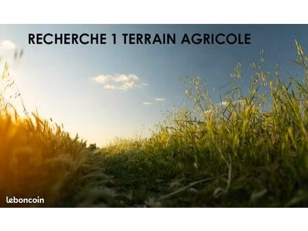 recherche 1 terrain agricole