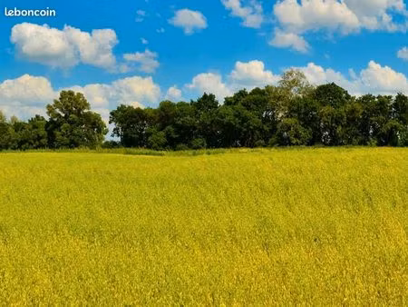 terrain 535 m² mios