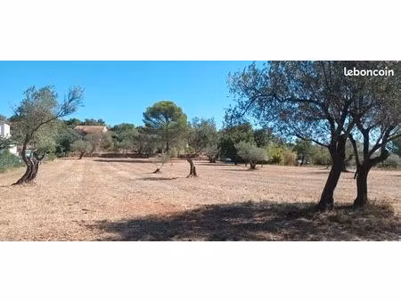 vente terrain constructible