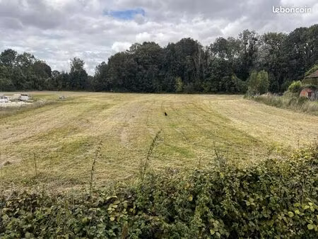 terrain 1 289 m² bouranton