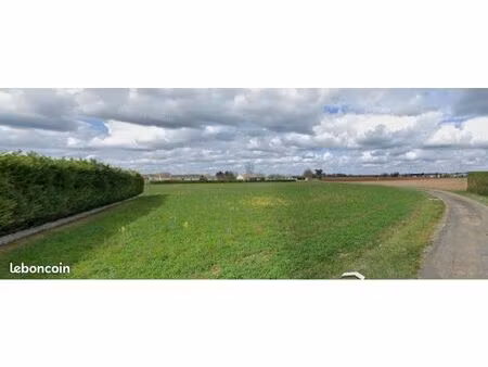 terrain constructible