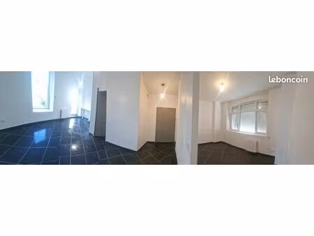 nancy liberation  t2 renove  38 m2 balcon dans la verdure