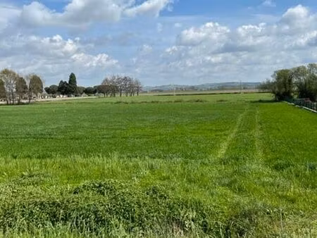 terrain 7055 m² lafitte-vigordane