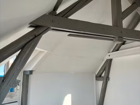 appartement t3 avec charme de l'ancien 75m2