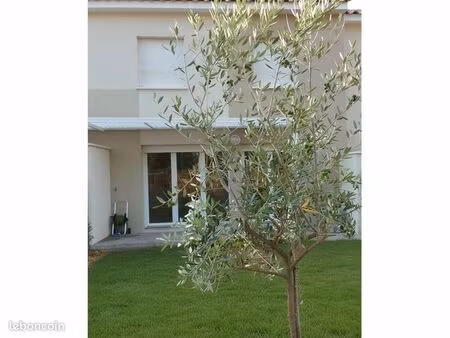 maison 5 pièces 101 m²