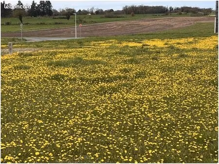 terrain 895 m² angouleme