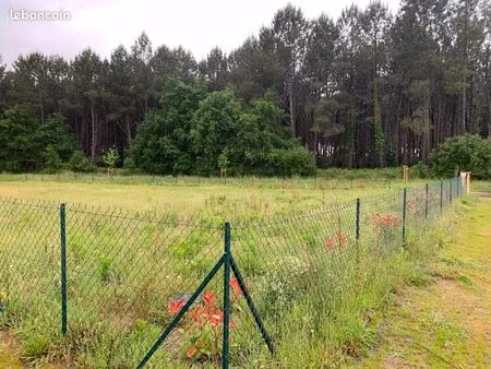 terrain 764 m² saint michel escalus