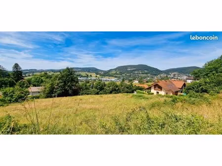 terrain 448 m² allonzier la caille