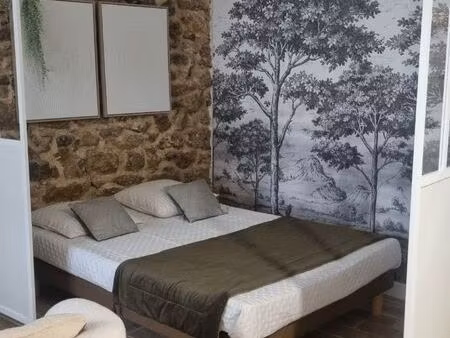 grand studio meublé rénové 36 m2