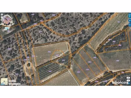 vente parcelle forêt