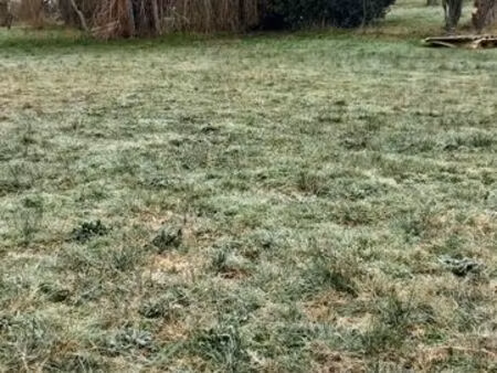 grand terrain constructible