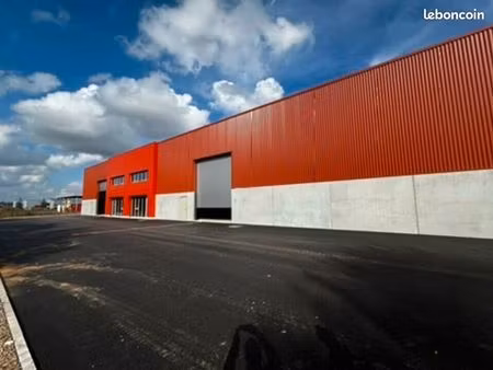 local bureaux 1 590 m²