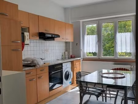 f2 lumineux  calme  cave  parking  à 5mn de la frontière de bâle