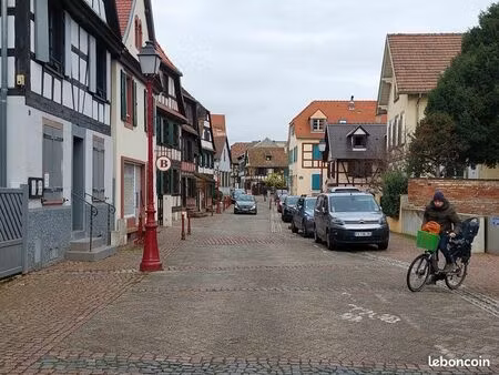 location bureaux / espaces professionnels – schiltigheim (vieux schiltigheim)