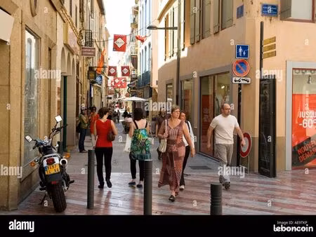 local commercial perpignan