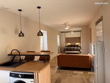 loft meublé entièrement rénové